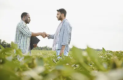 Homens se cumprimentando em um campo de soja. Men greeting each other in a soybean field.